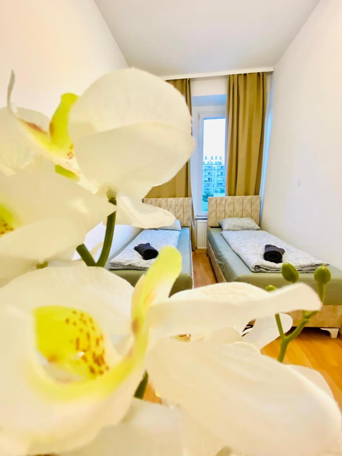 Bright 5br Shared W Great Transport Link * Viena